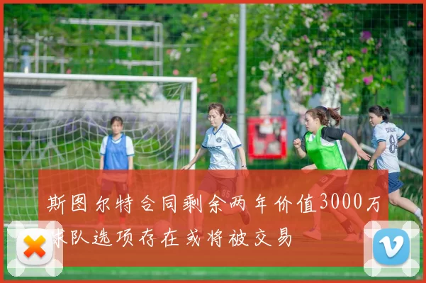 斯图尔特合同剩余两年价值3000万球队选项存在或将被交易