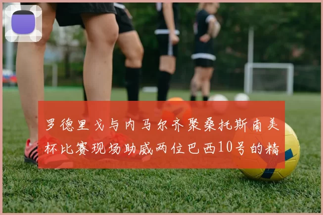 罗德里戈与内马尔齐聚桑托斯南美杯比赛现场助威两位巴西10号的精彩时刻