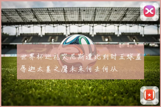 世界杯巡礼突尼斯遭比利时五球羞辱迦太基之鹰未来何去何从
